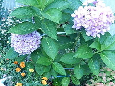 to you…‥「梅雨」