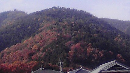 ＡＣ山崎紅葉2