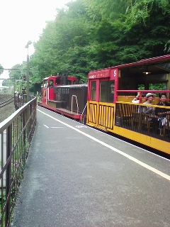 トロッコ列車.jpg