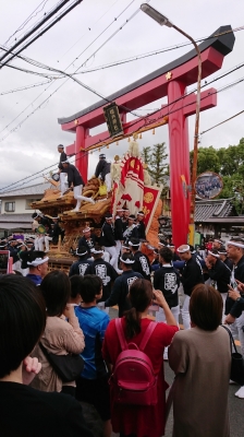 だんじり宮入