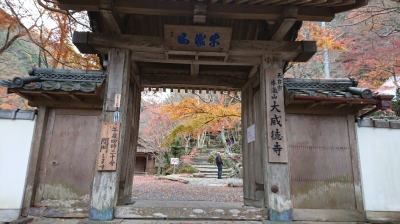 紅葉