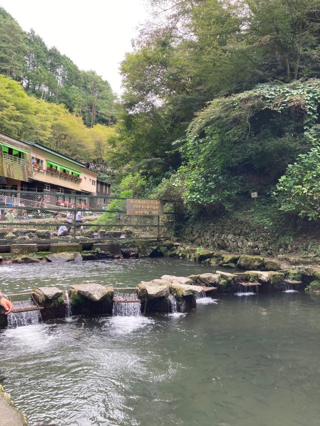 秋よ、はやく来い！