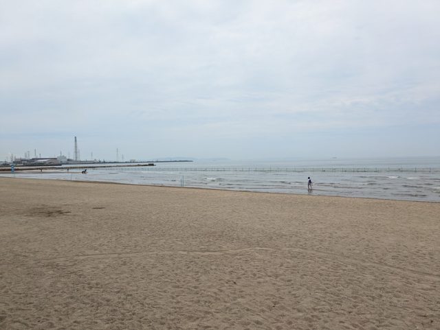 バスツアーで姫路・的形海水浴場へ潮干狩りに行ってきました！